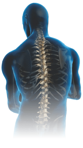 spine image spine image