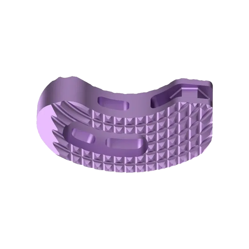 TLIF Cage (Bean Type) – Titanium