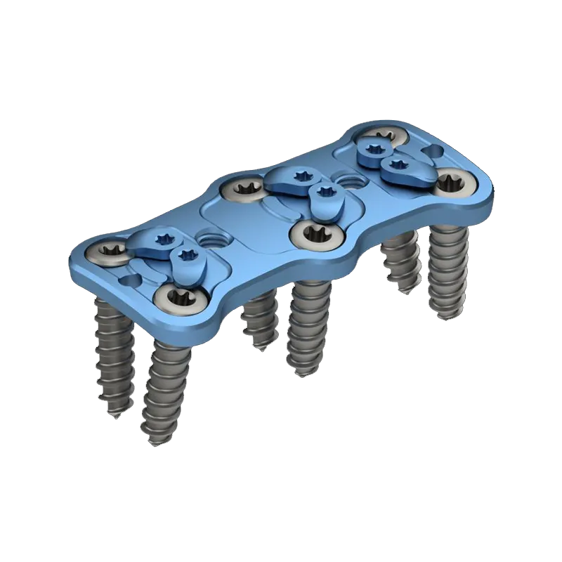 Anterior Cervical Plate Two-Level