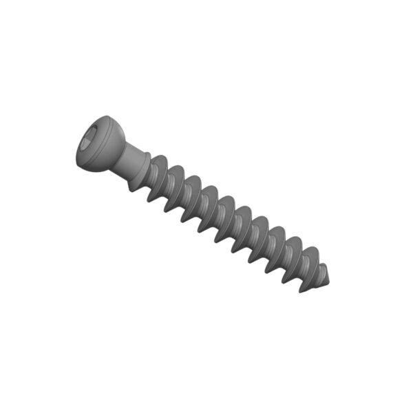 6.5mm Dia. Cancellous Screw 32mm Thread (Hexdrive)