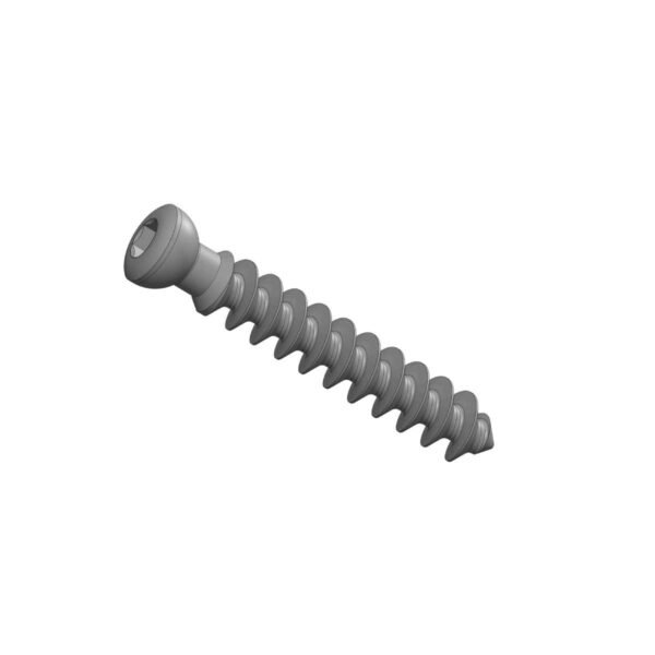 6.5 MM Dia. Cancellous Screw Full Thread (Hexdrive)