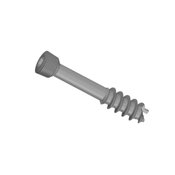 Locking 7.0mm Cannulated Cancellous Screw 16mm Thread (Use with Locking Proximal Femur Plate)