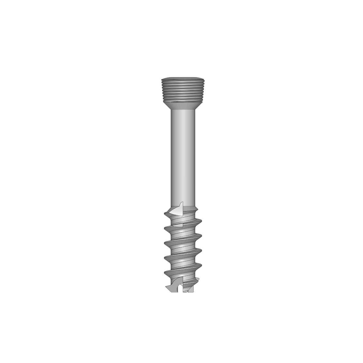 Locking 7.0mm Cannulated Cancellous Screw 16mm Thread (Use with Locking Proximal Femur Plate)