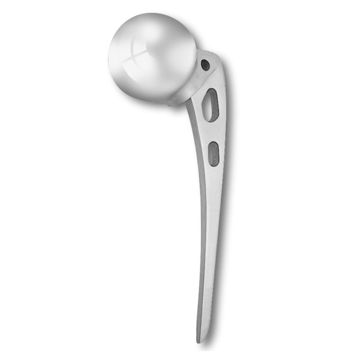 Austin Moore Hip Prosthesis Excel Standard & Narrow Stem – Sterile