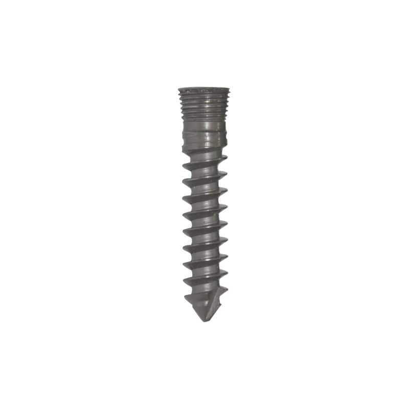 Cervical Locking Screw – Titanium