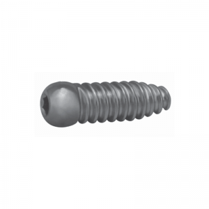 Interference Screw With Head (Titanium) ACL