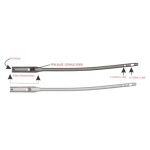 PFNA Nail- Long 130⁰