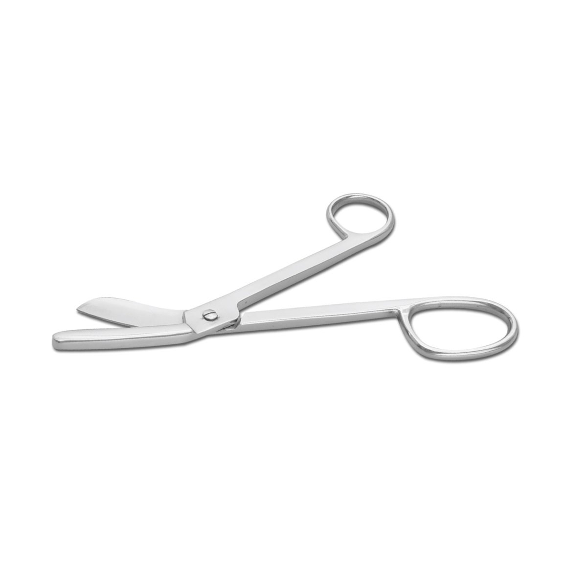 Plaster Shear – Gay’s