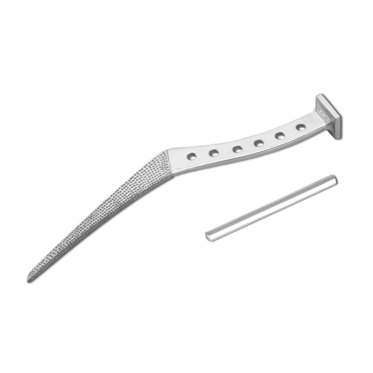 Rasp for Thompson – Standard Stem