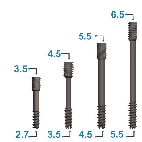 Scrucan Cannulated Compression System
