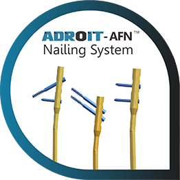 ADROIT - AFN Nailing System