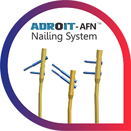 ADROIT - AFN Nailing System