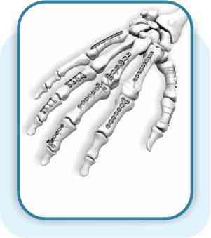 MICROLOCK-Locking-Hand-Systemcompress1