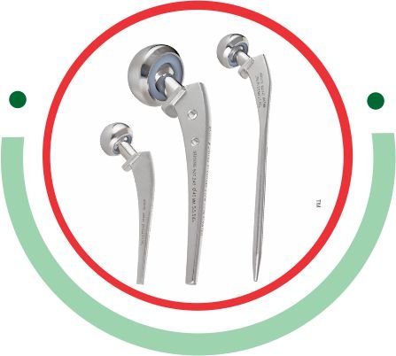 Accuhip Prosthesis