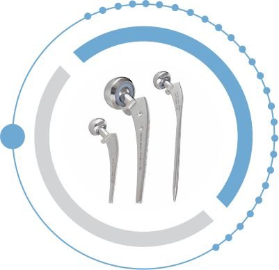 Accuhip Prosthesis