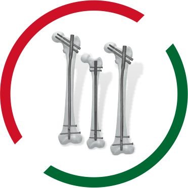 ADROIT - AFN Nailing System