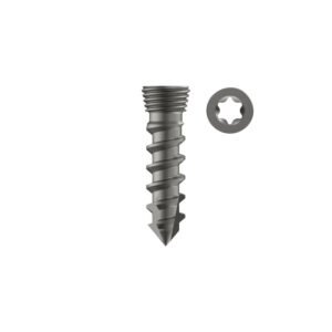 ACDF Standalone Locking Screw Self Tapping – Titanium