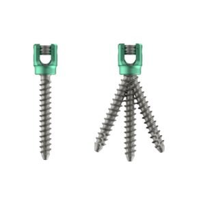 Pedilux Polyaxial R-Line Pedicle Screw – Titanium