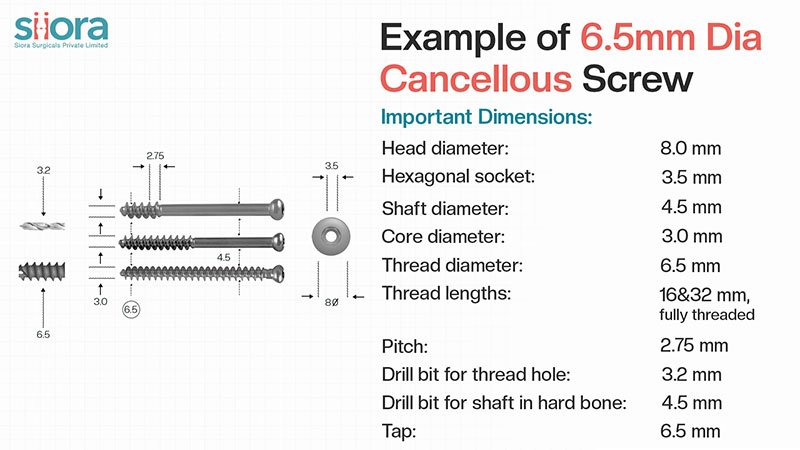 Cancellous Screw