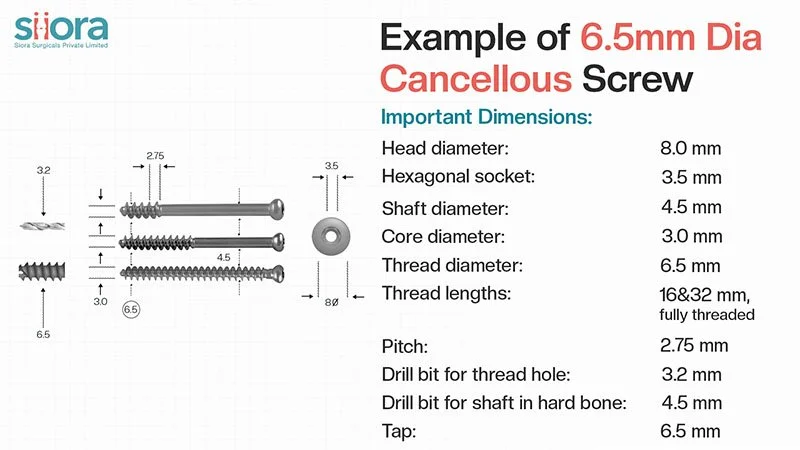 cancellous-Screw