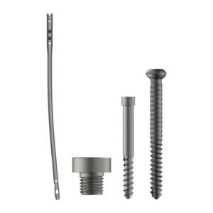 Aduera Expert Femur Nail Implant
