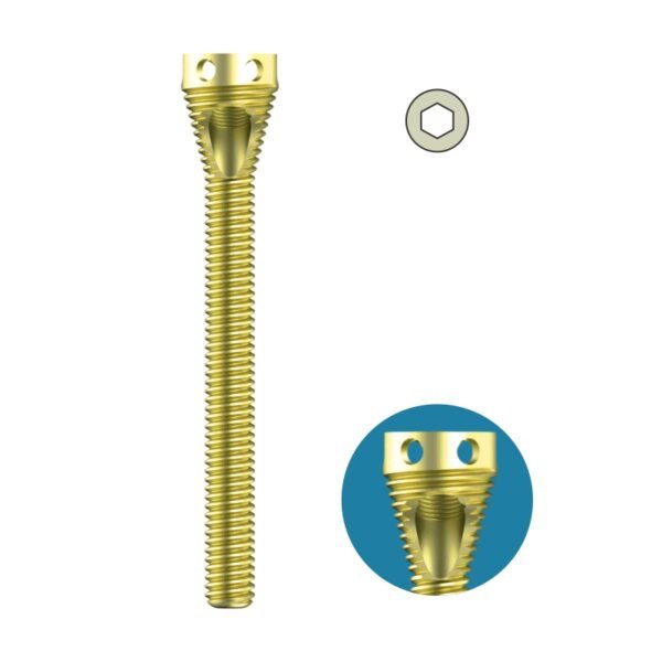MHN Multifix Proximal Screw - Dia. 4.5mm - Titanium
