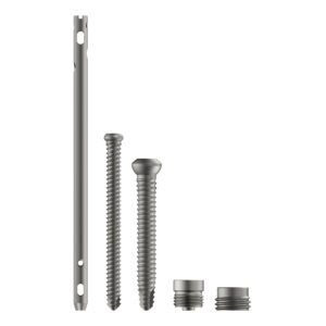Tarsofix Ankle Arthrodesis Nail & Bolts