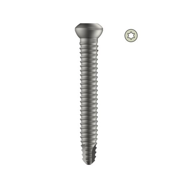 Tarsofix Distal Locking Bolt for Ankle Nail