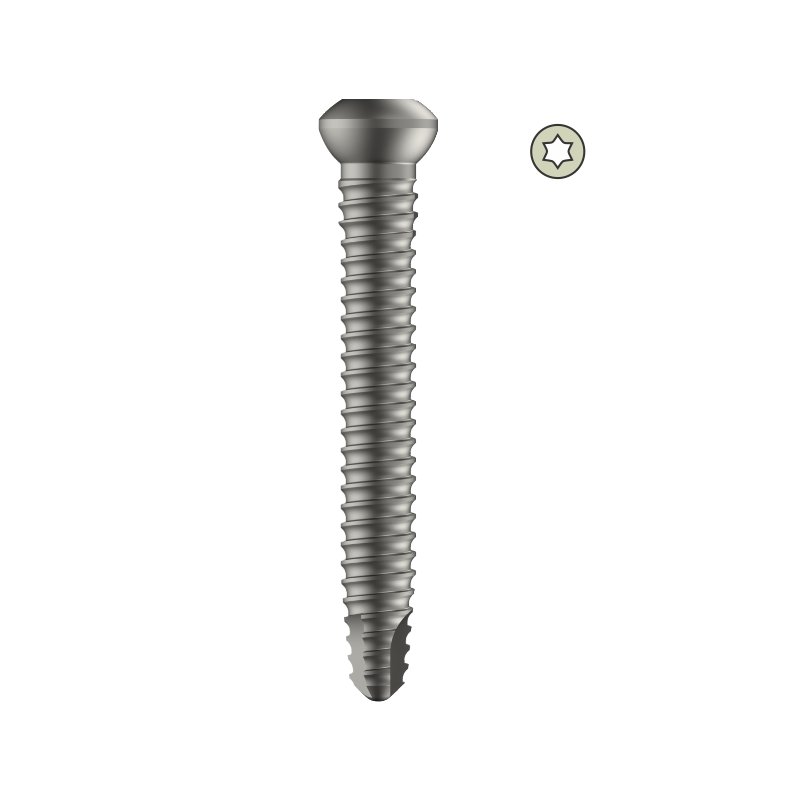 Tarsofix Distal Locking Bolt for Ankle Nail