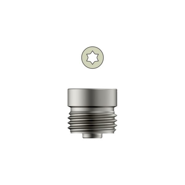 Tarsofix End Cap for Ankle Nail - Titanium