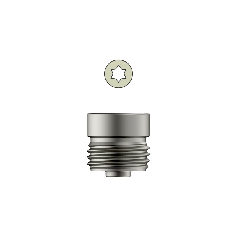 Tarsofix End Cap for Ankle Nail - Titanium