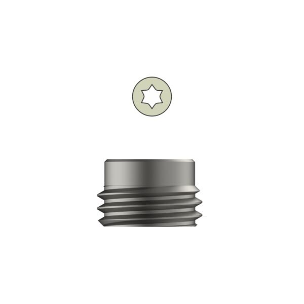 Tarsofix Inner Set Screw for Ankle Nail - Titanium