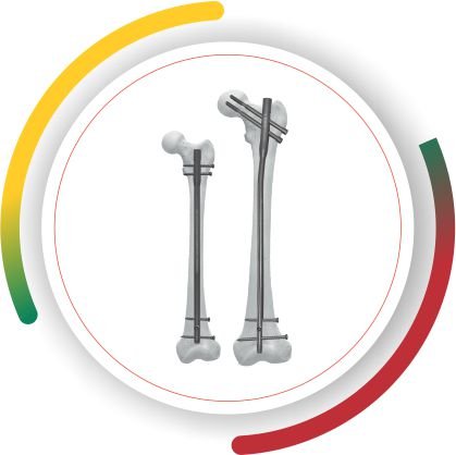 ADROIT AFN Lithuania