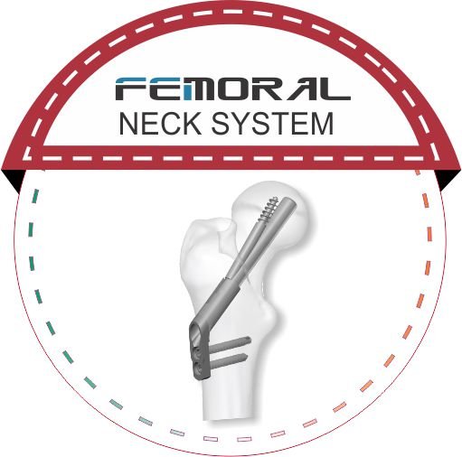 FNS malaysia