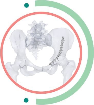 LOW PROFILE PELVIS dubai