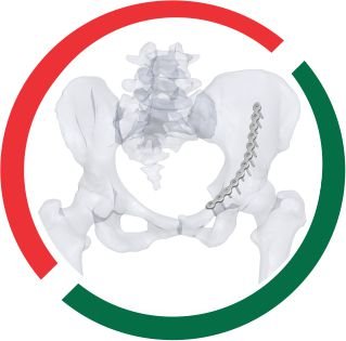 LOW PROFILE PELVIS zimbabwe