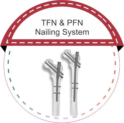 TFN-PFN malaysia