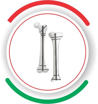 TIBIA FEMUR lebanon