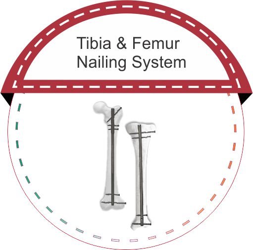 TIBIA FEMUR malaysia
