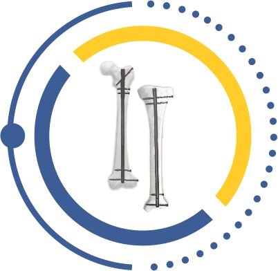 TIBIA FEMUR ukraine
