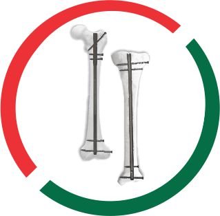 TIBIA FEMUR zimbabwe