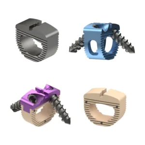 Cervical Interbody Fusion System