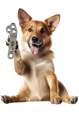 veterinary implant