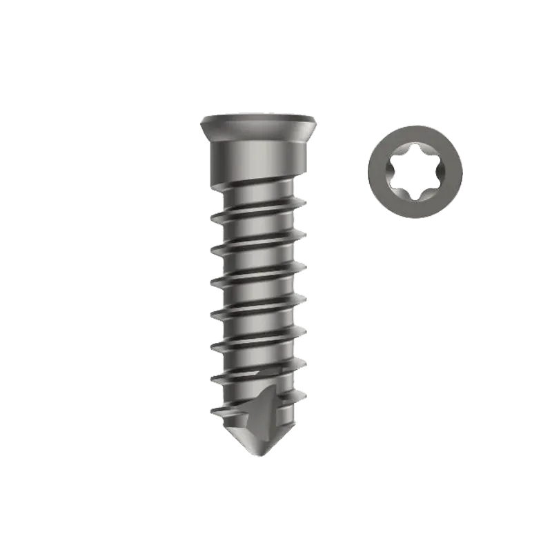 Corpectomy Cage Screw Self Tapping Dia. 4.0mm – Titanium