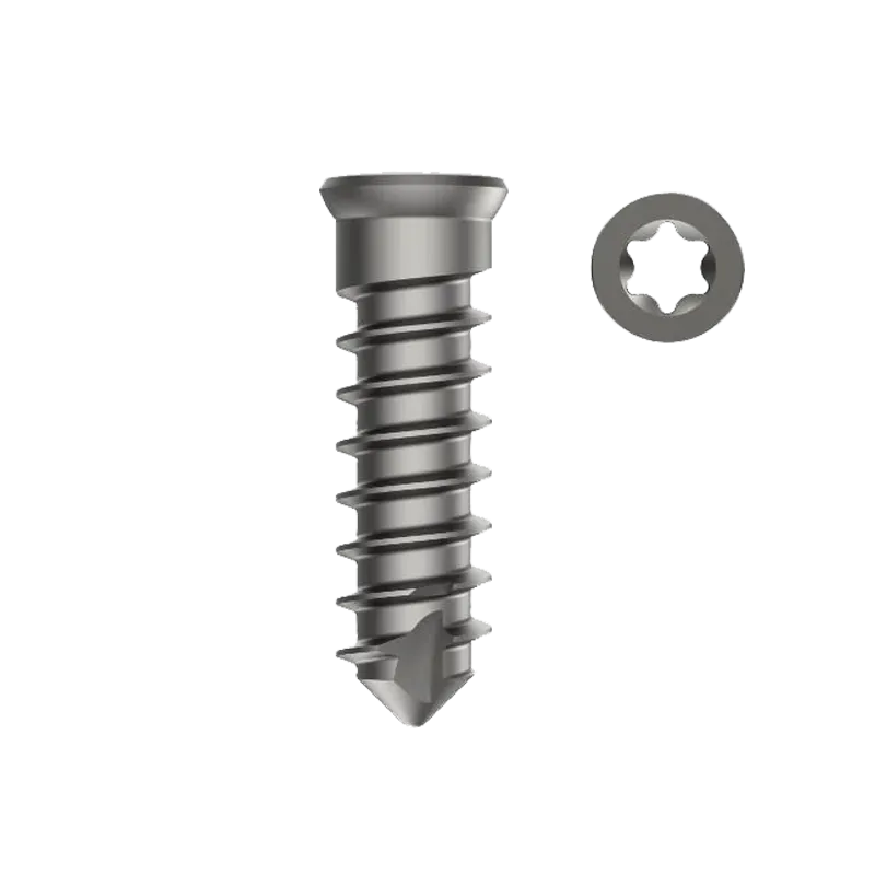 Corpectomy Cage Screw Self Tapping Dia. 4.25mm – Titanium