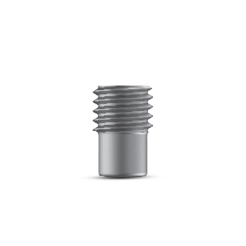 Inner Set Screw for Intertan Nail – Titanium