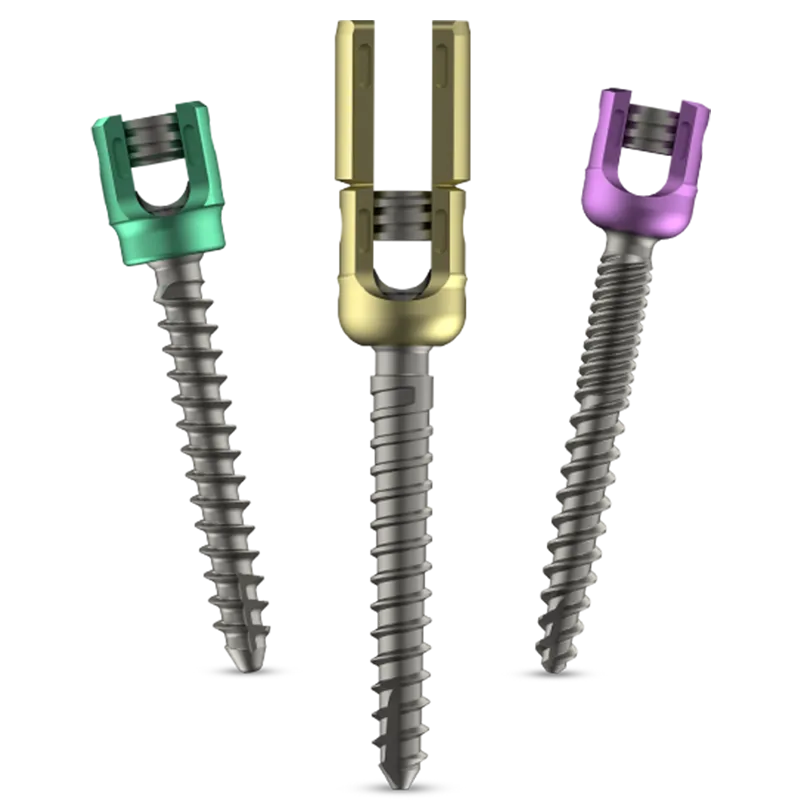 Pedicle Screw Systems