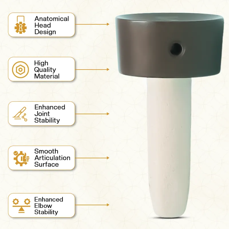 Key Features of Our HA Coated Radial Head Replacement Prosthesis