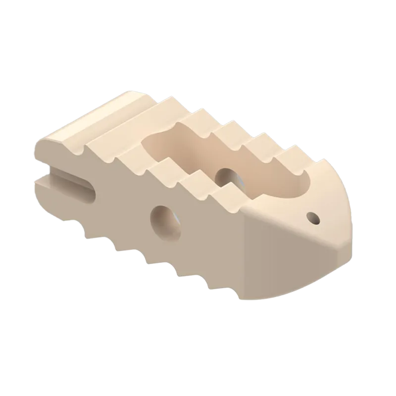 PILFIC™ PLIF Cage Titanium