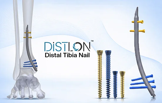 dtn nails